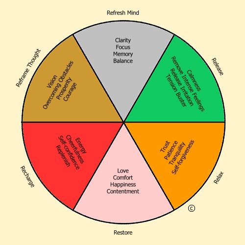 The Mudra Wheel